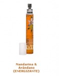 IVR Swiss Group Eaudesalpes Mandarina & Arándano (Energizante) foto-small