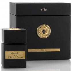 Tiziana Terenzi Gumin