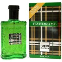 Paris Elysees Handsome foto-small