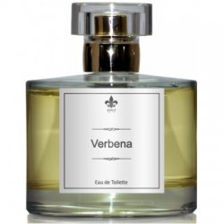 1907 Verbena