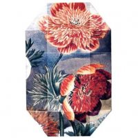 Stella McCartney Print Collection Stella 03