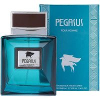 Flavia Pegasus Pour Homme foto-small