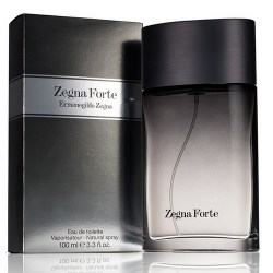 Ermenegildo Zegna Zegna Forte