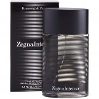 Ermenegildo Zegna Intenso