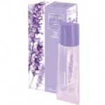 Biofresh Lavender