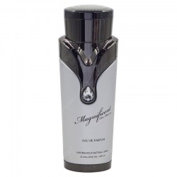 Armaf Magnificent Pour Homme