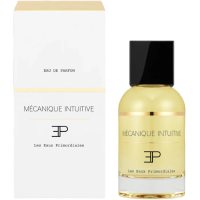Les Eaux Primordiales Mecanique Intuitive