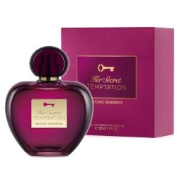 Antonio Banderas Her Secret Temptation
