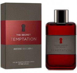 Antonio Banderas The Secret Temptation for Men