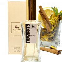 Landor Contact