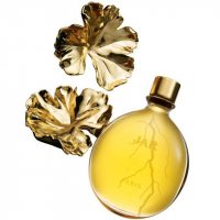 Jar Parfums Ferme tes Yeux