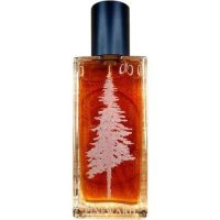 Pineward Perfumes Tome