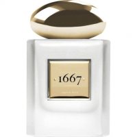 1667 Opulent Floral