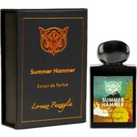 Lorenzo Pazzaglia Summer Hammer