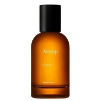 Aesop Karst