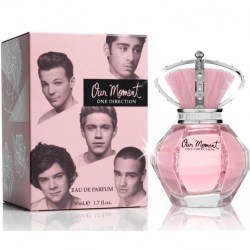 One Direction Our Moment