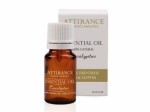 Attirance Essential Oil - Eucalyptus foto-small
