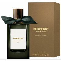Burberry Signatures Midnight Journey