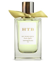 Burberry Signatures Hawthorn Bloom