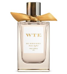 Burberry Signatures Wild Thistle