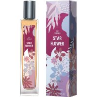 Brocard Day Dream Star Flower
