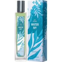 Brocard Day Dreams Water Ivy