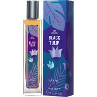 Brocard Day Dreams Black Tulip