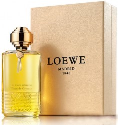 Loewe Un Paseo por Madrid Tras la tormenta en el Jardin Botanico