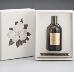 Grandiflora Magnolia Michel