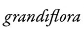 Grandiflora  brand logo