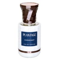 Plantage Auradiant foto-small