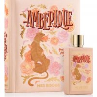 Mes Bisous Amberique