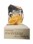 Ramon Molvizar Sensual Goldskin