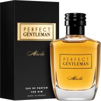 Art & Parfum Perfect Gentleman Absolu