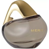 Merit Retrospect