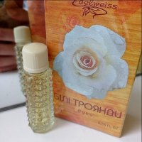Edelweiss Білі Троянди