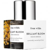 From Wilds Brilliant Bloom Indian Mimosa foto-small