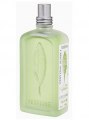 L`Occitane en Provence Verbena Sorbet