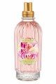 L`Occitane en Provence Rose des Champs