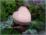 Веста foto-small