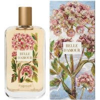 Fragonard Belle D`Amour