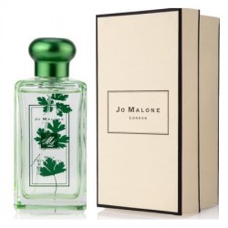 Jo Malone Wild Strawberry & Parsley