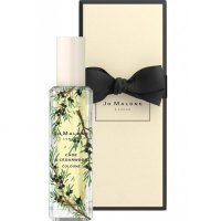 Jo Malone Cade & Cedarwood