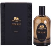 Phaedon Dzhari foto-small