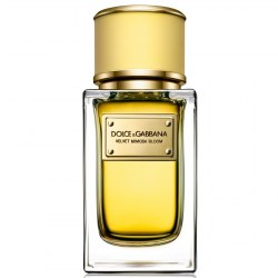 Dolce & Gabbana Velvet Exotic Leather