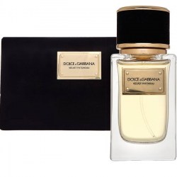 Dolce & Gabbana Velvet Patchouli