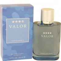 Dana Valor for Him foto-small