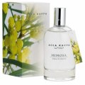 Acca Kappa Mimosa