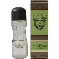 Dzintars Vikings