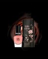 Kate Moss Kate by Kate Moss Luxury Edition